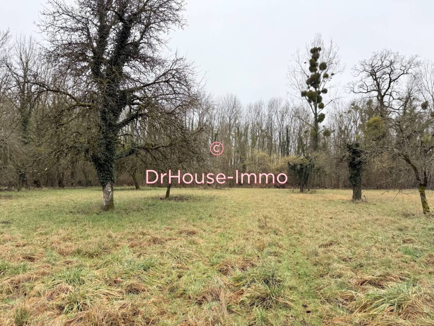 Terrain de 4 219 m² - Val-d'Auzon (10220)