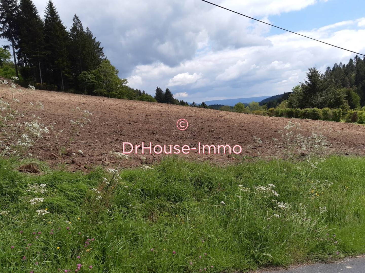 Terrain de 1 453 m² - Ambert (63600)