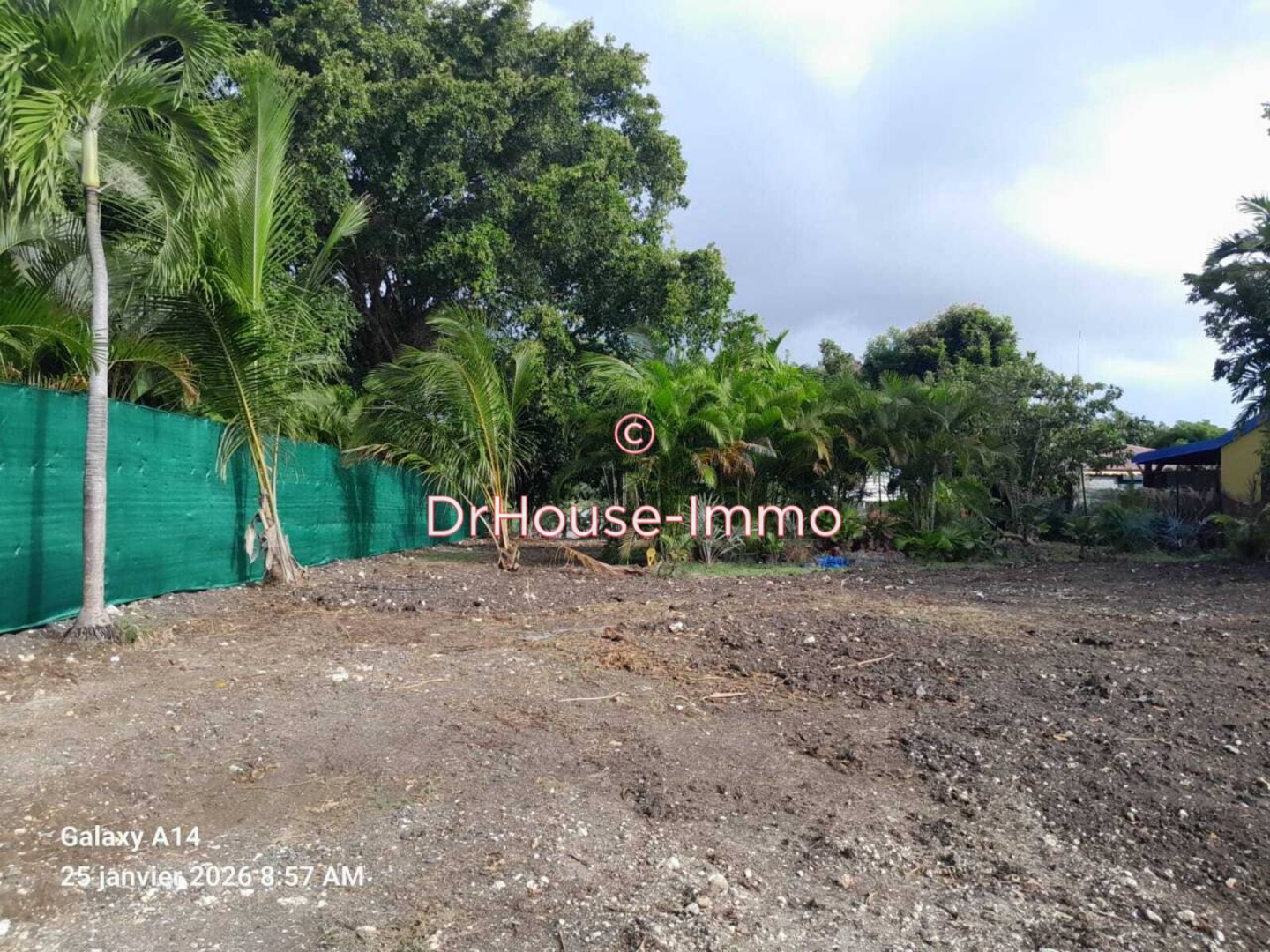 Terrain de 1 018 m² - Saint-François (97118)