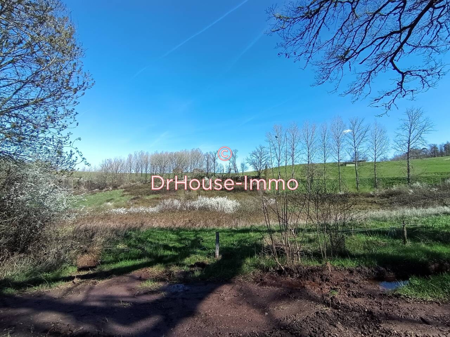 Terrain de 3 450 m² - Louignac (19310)