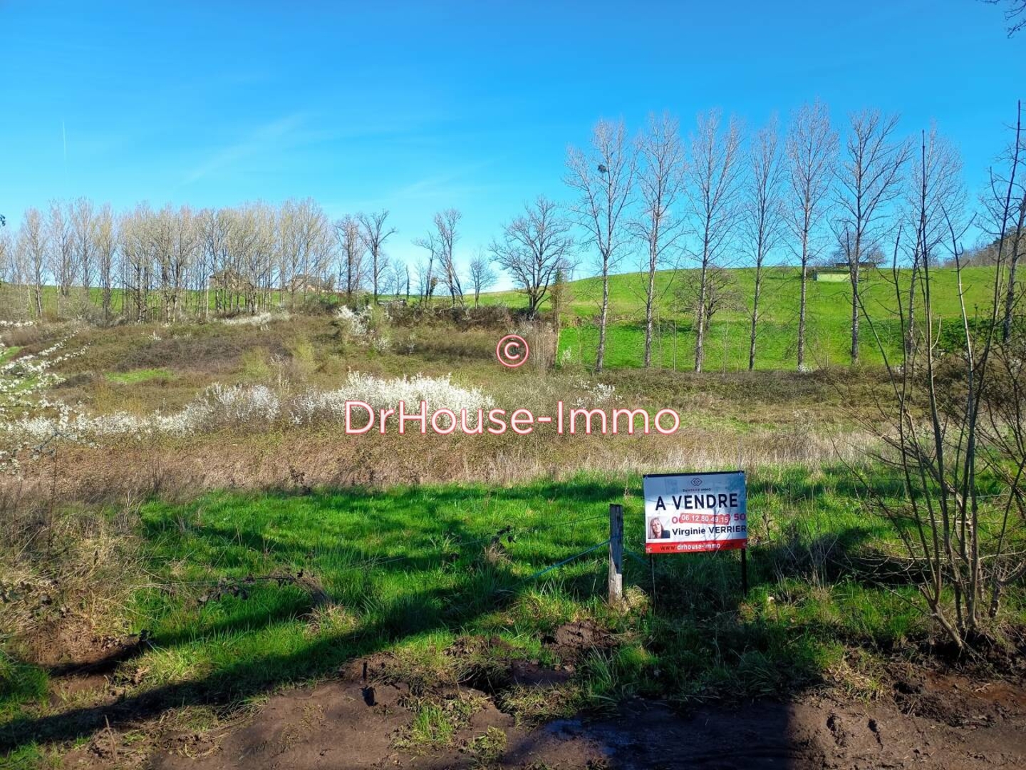 Terrain de 3 473 m² - Louignac (19310)