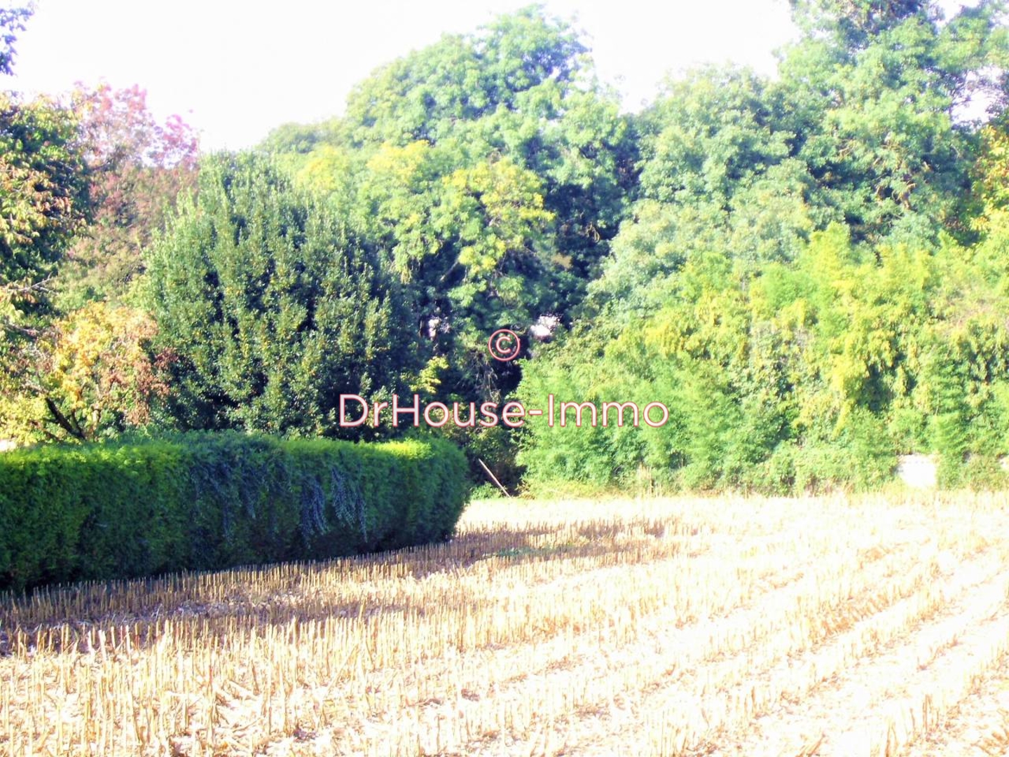 Terrain de 950 m² - Champniers (16430)