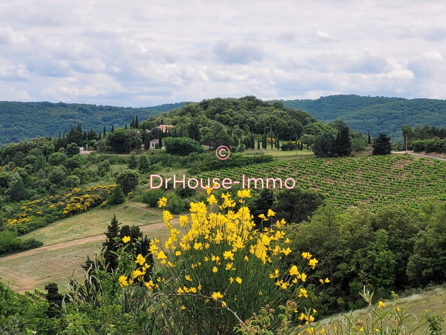 Maison 9 pièces de 212 m² - Montclar (11250)