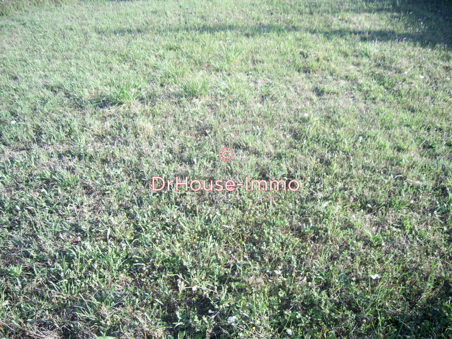 Terrain de 2 620 m² - Vars (16330)