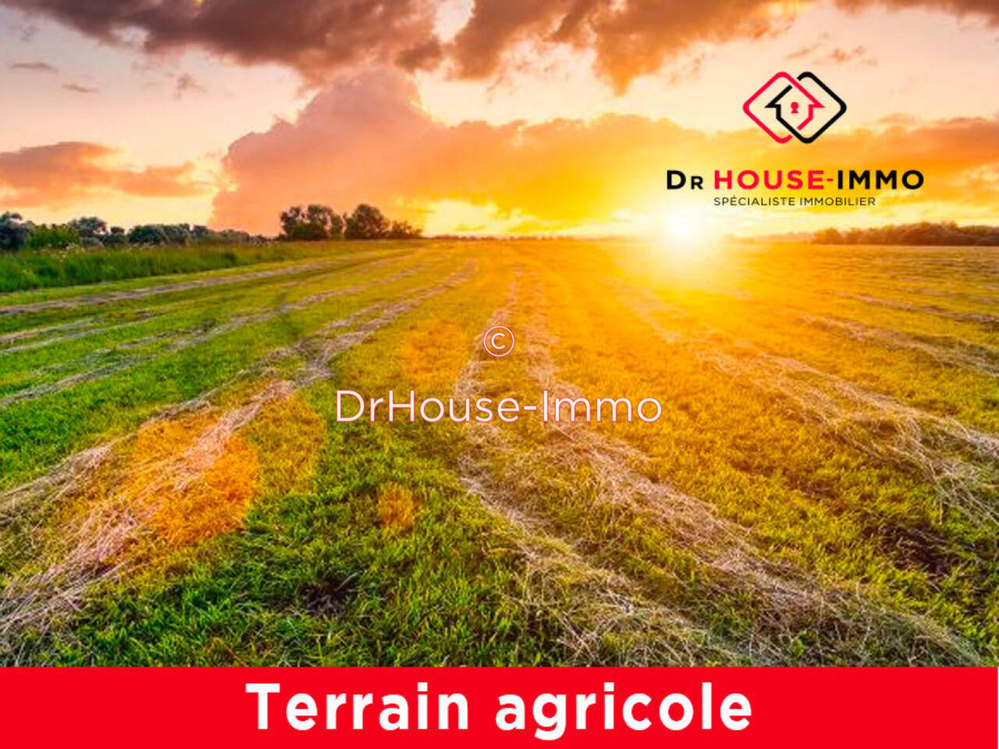 Terrain de 12 883 m² - Le Temple-sur-Lot (47110)