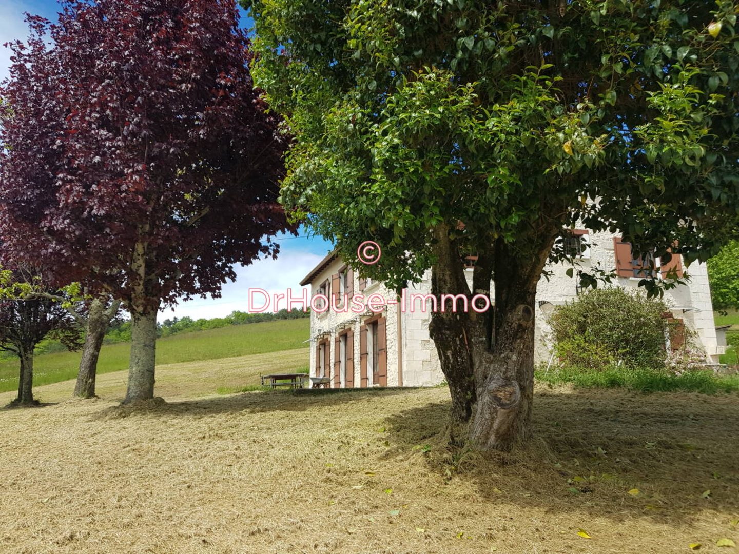 Maison 8 pièces de 215 m² - Mensignac (24350)