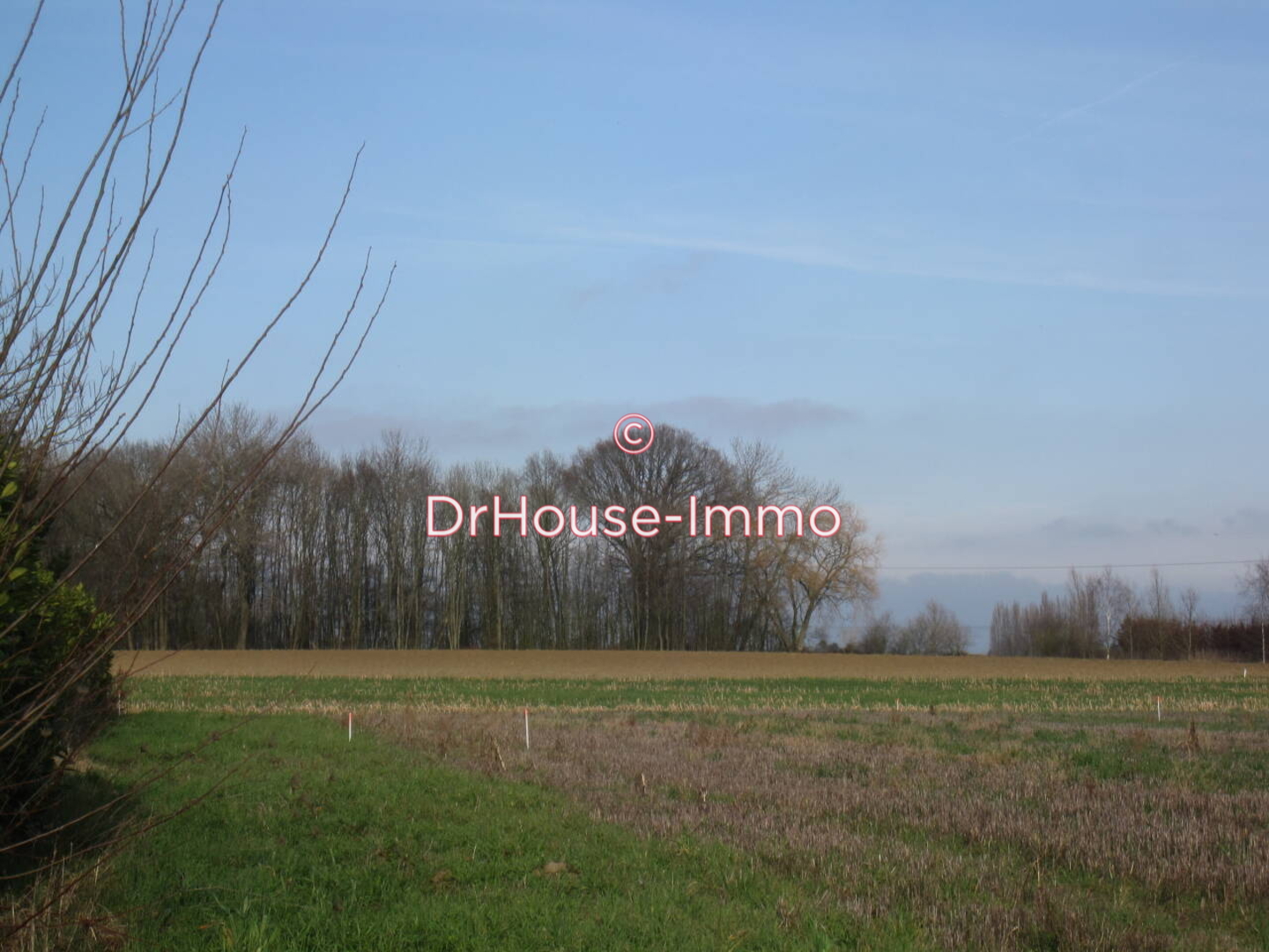 Terrain de 1 950 m² - Bersée (59235)