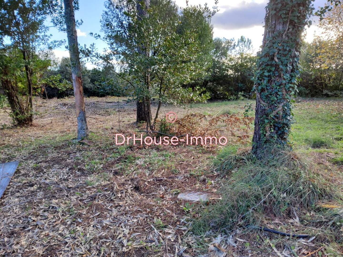 Terrain de 1 300 m² - Saint-Julien-les-Rosiers (30340)