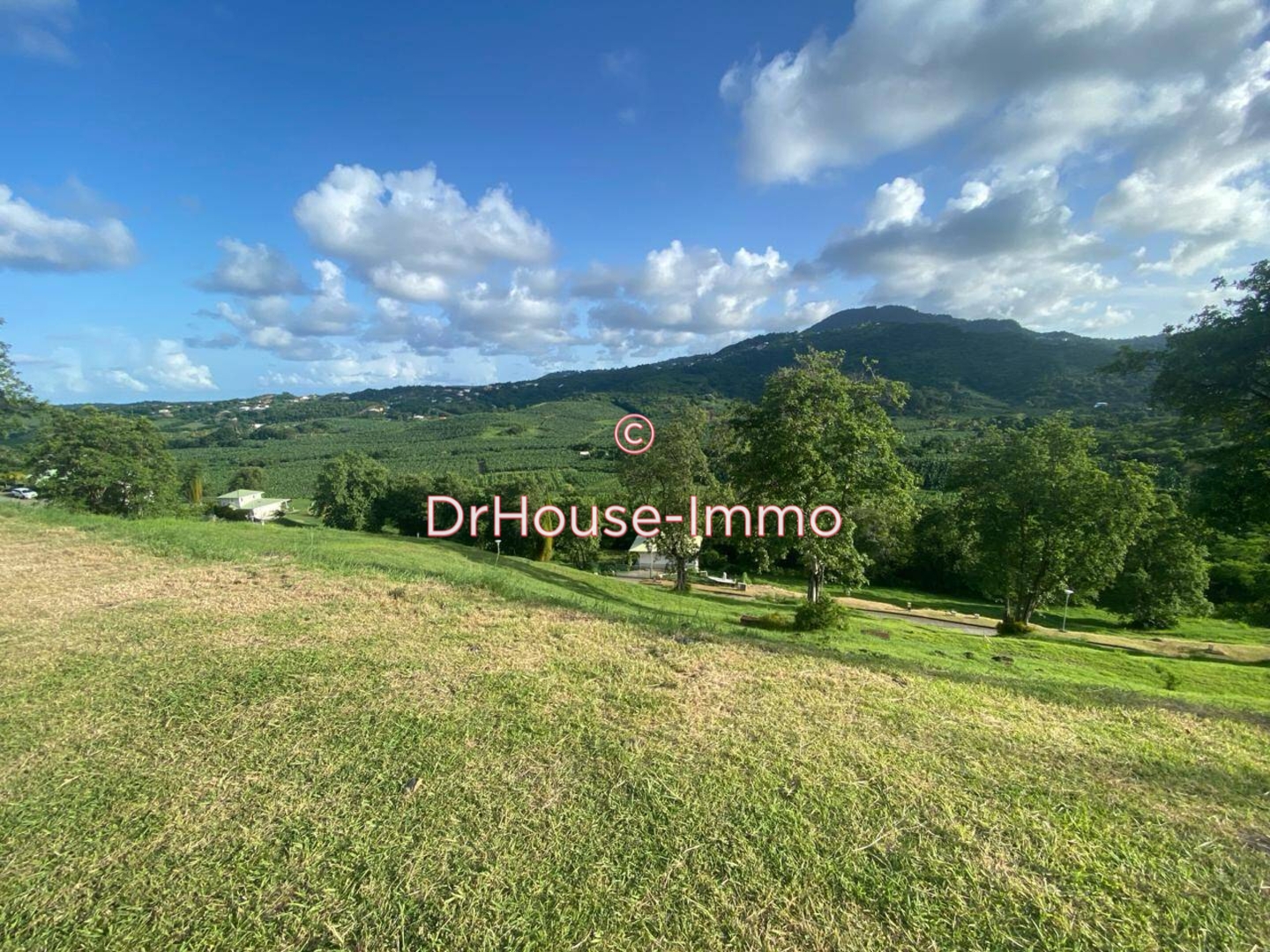 Terrain de 752 m² - François (97240)