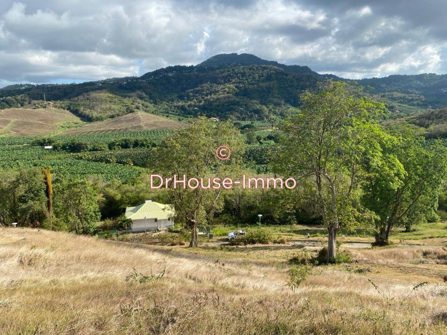 Terrain de 752 m² - François (97240)