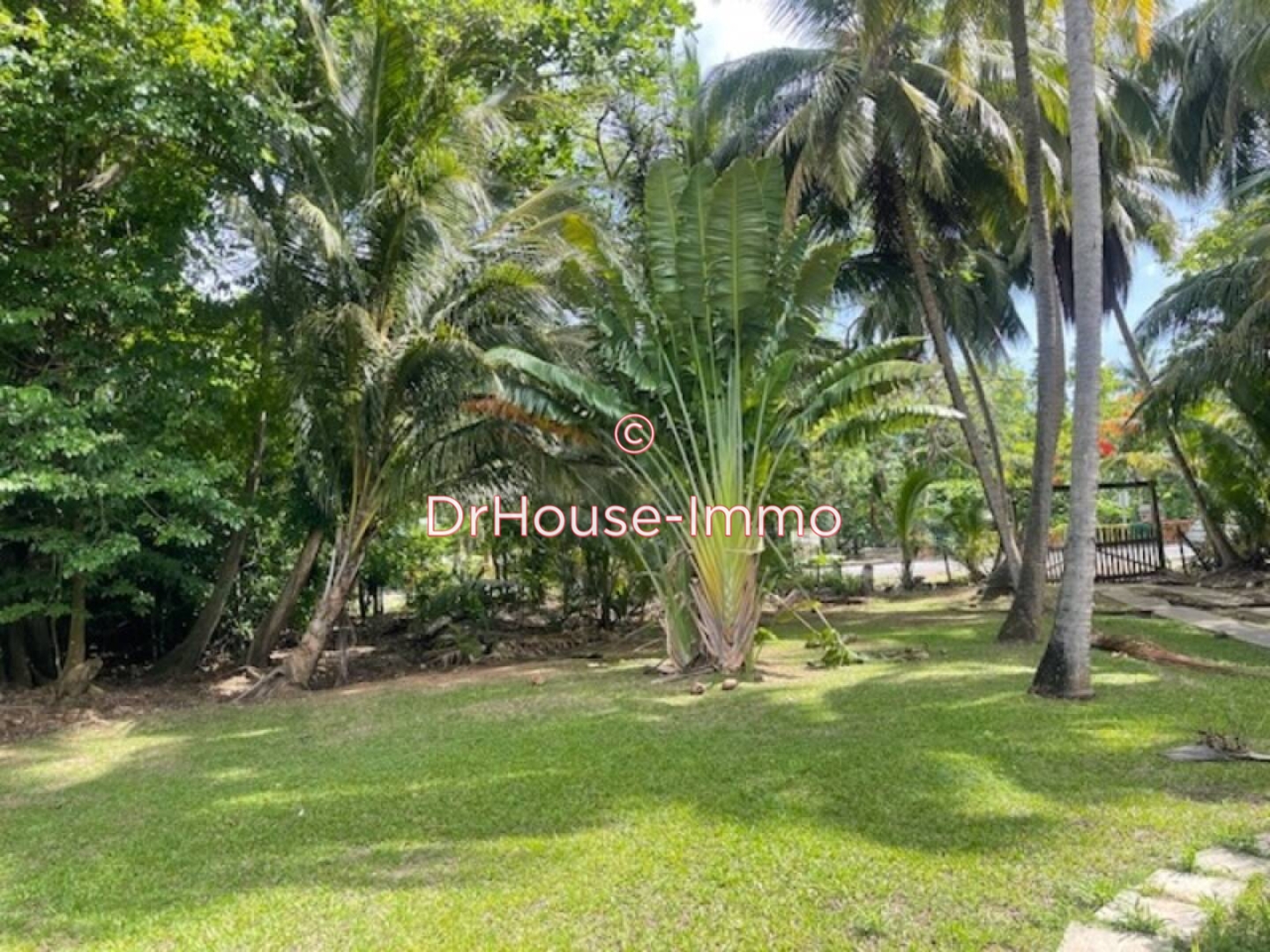 Maison 2 pièces de 70 m² - Deshaies (97126)