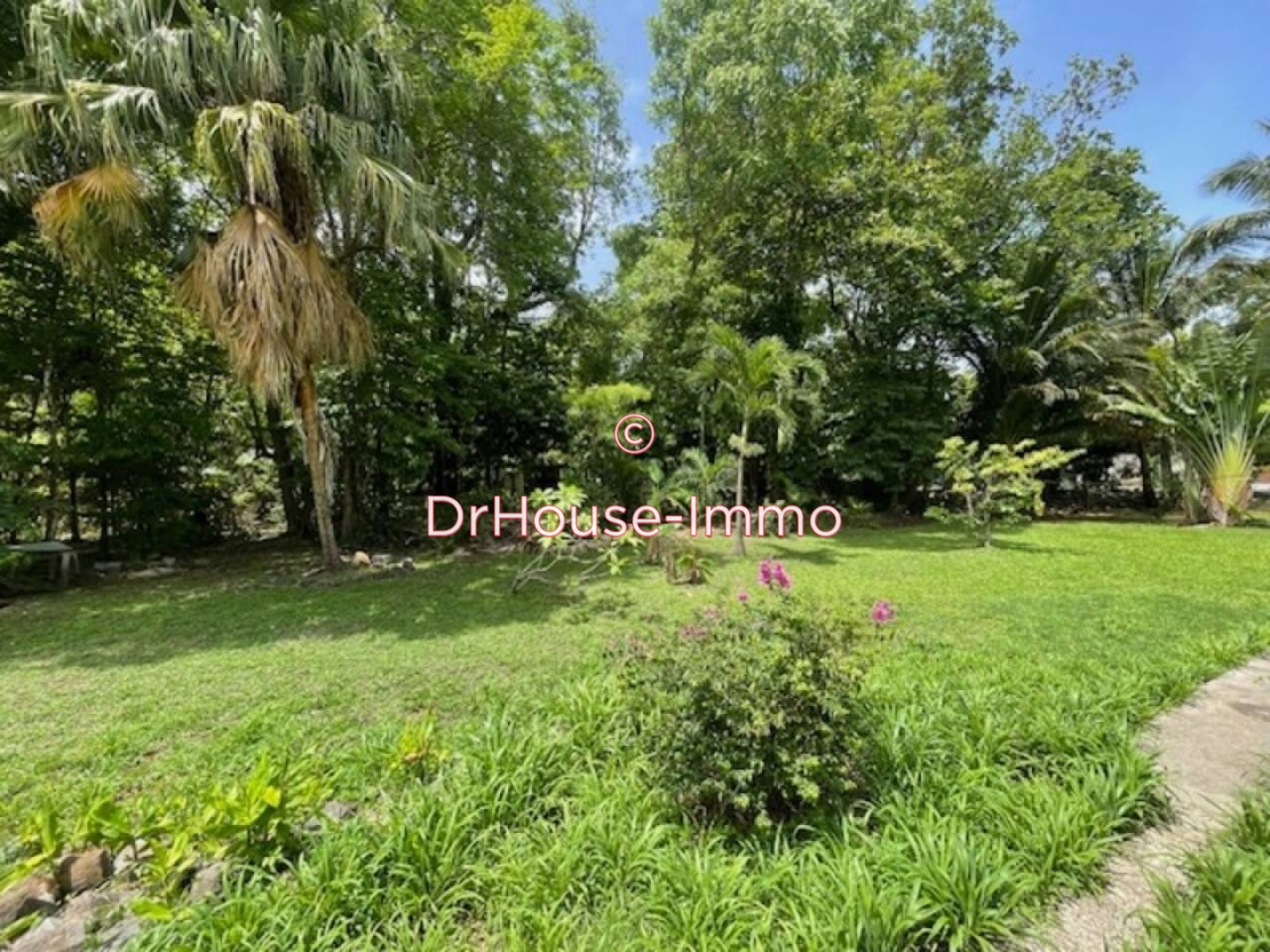 Maison 2 pièces de 70 m² - Deshaies (97126)