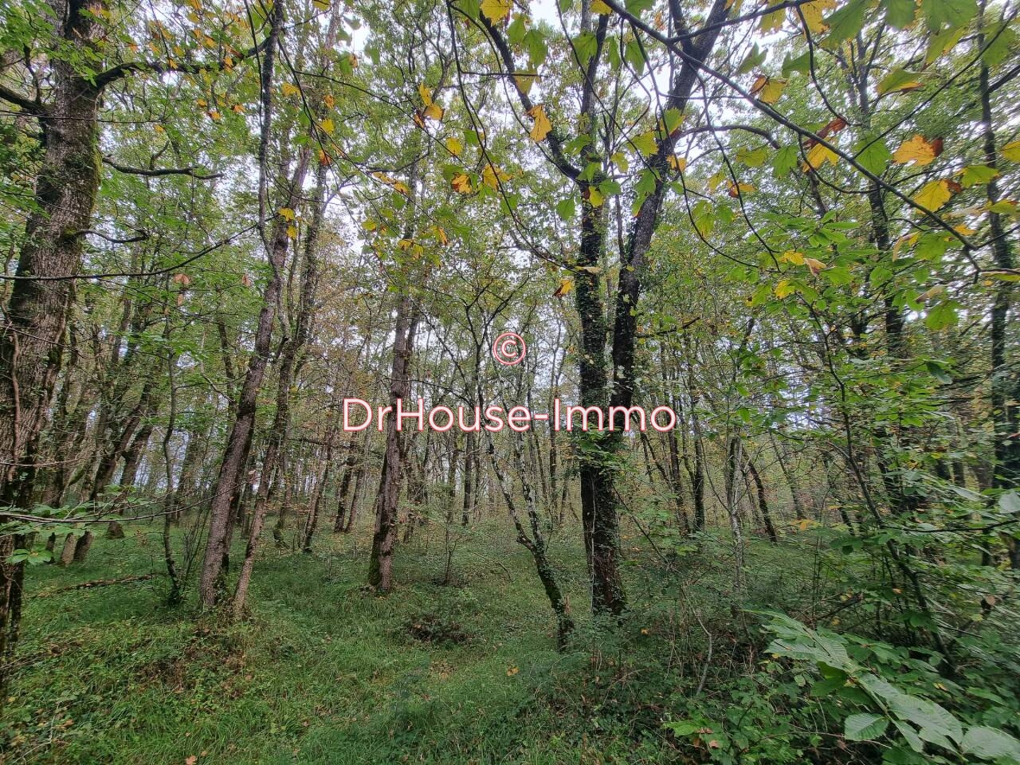 Terrain de 18 385 m² - Vergt-de-Biron (24540)