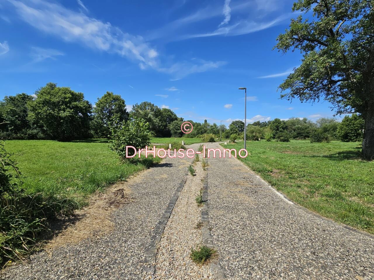 Terrain de 808 m² - Pindray (86500)