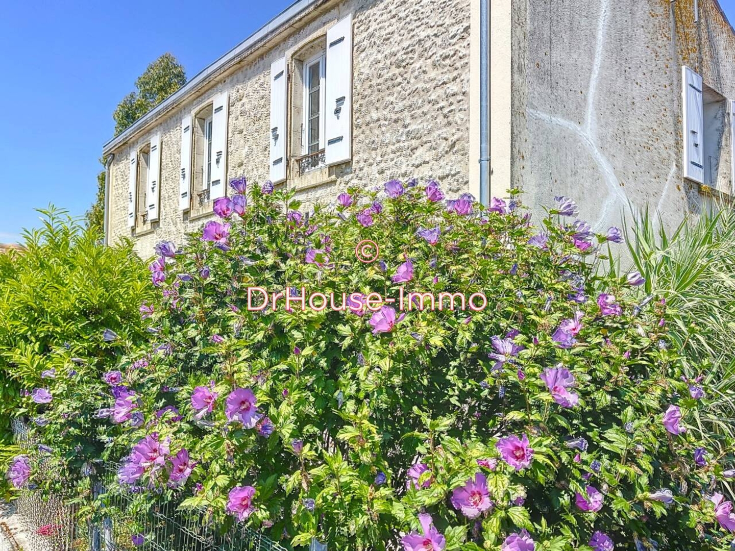 Maison 6 pièces de 126 m² - Longèves (17230)