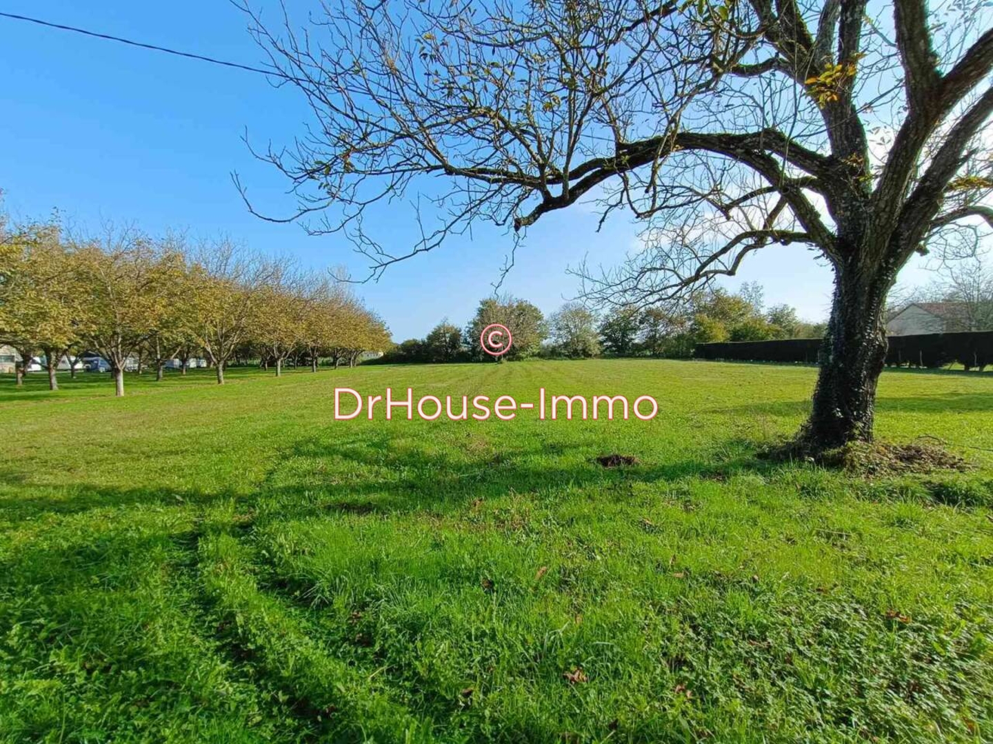 Terrain de 1 208 m² - Pazayac (24120)