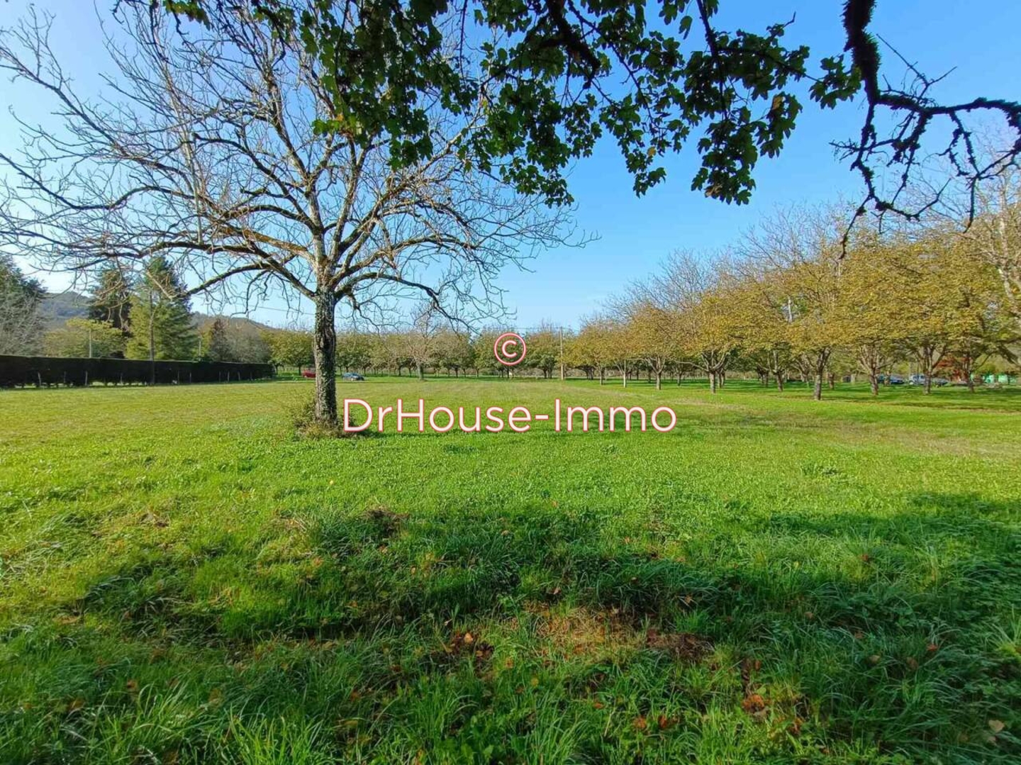 Terrain de 2 005 m² - Pazayac (24120)