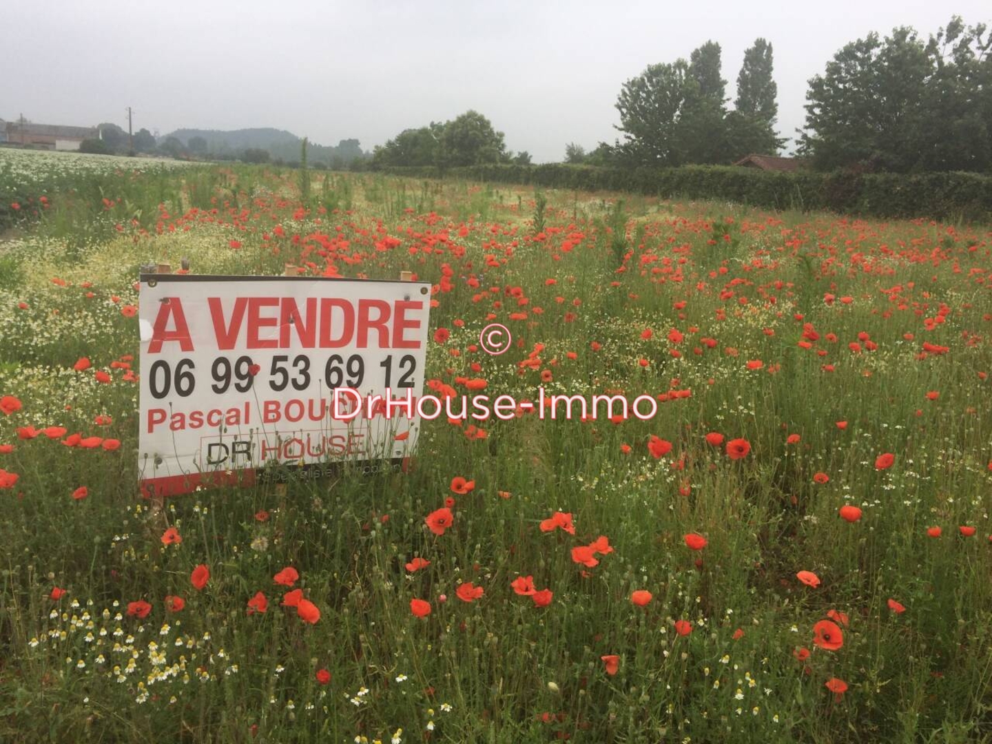 Terrain de 2 100 m² - Condé-sur-l'Escaut (59163)