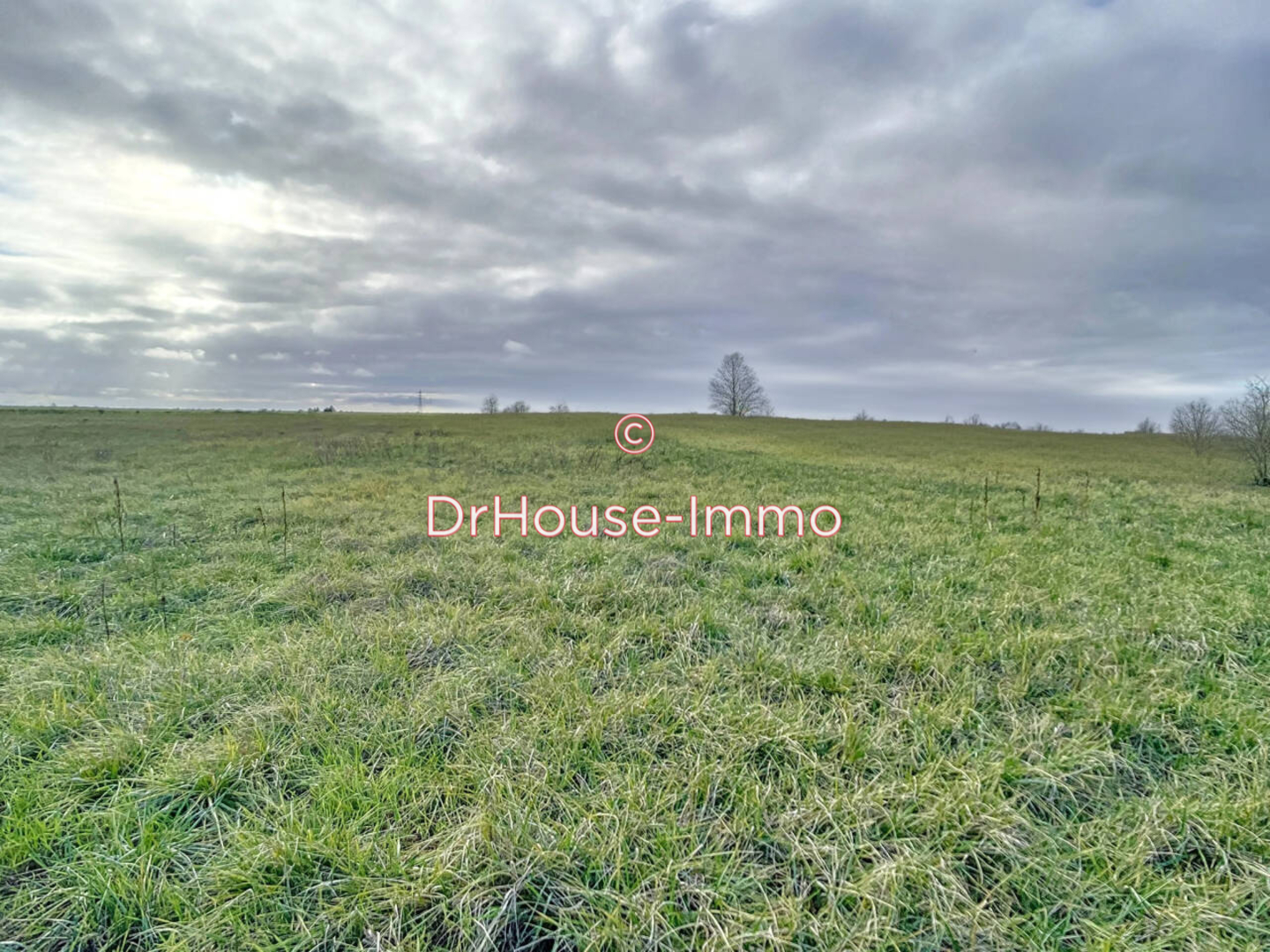 Terrain de 3 213 m² - Ingré (45140)