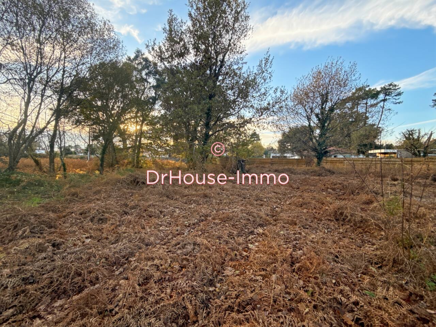 Terrain de 1 442 m² - Messanges (40660)