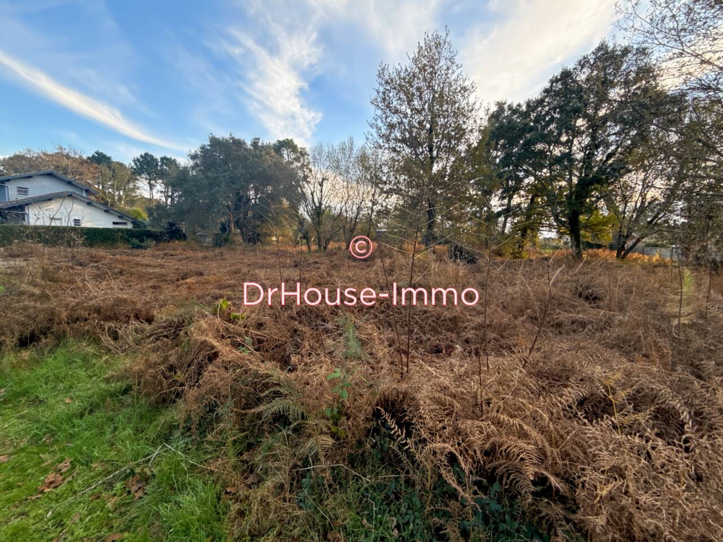 Terrain de 1 558 m² - Messanges (40660)