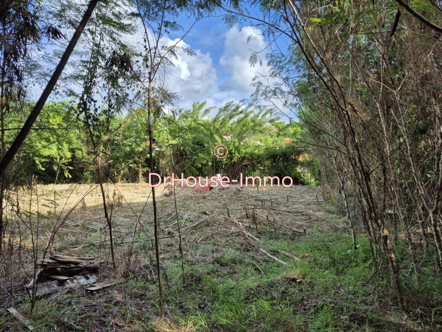 Terrain de 1 299 m² - Vauclin (97280)