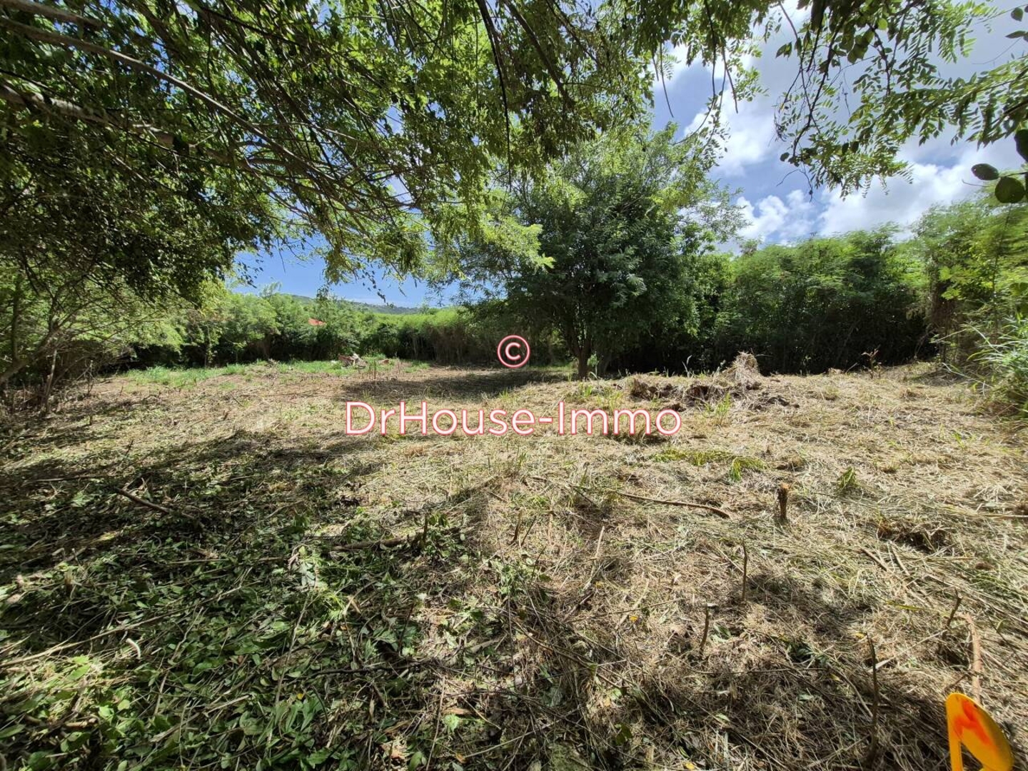 Terrain de 1 299 m² - Vauclin (97280)