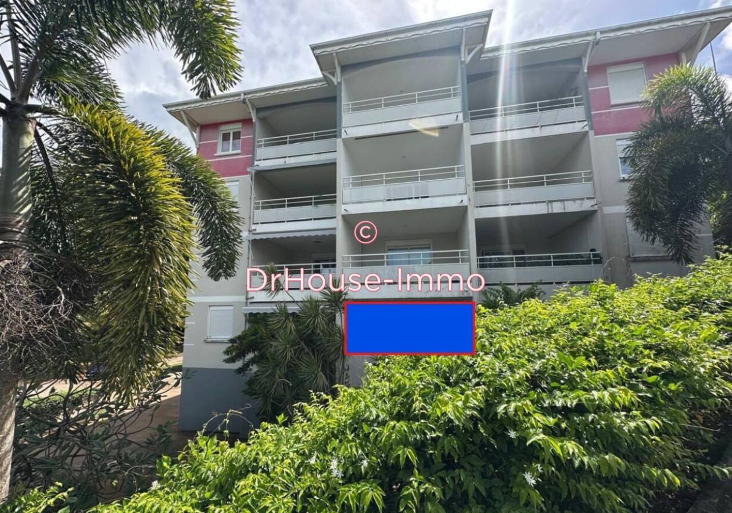 Appartement 1 pièce de 29 m² - Robert (97231)