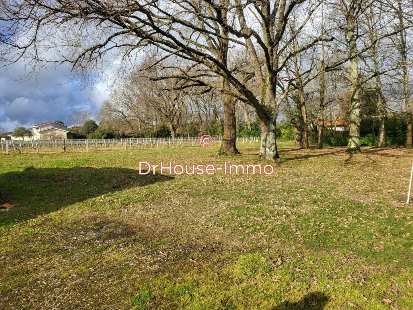 Terrain de 1 500 m² - Saint-Sulpice-et-Cameyrac (33450)