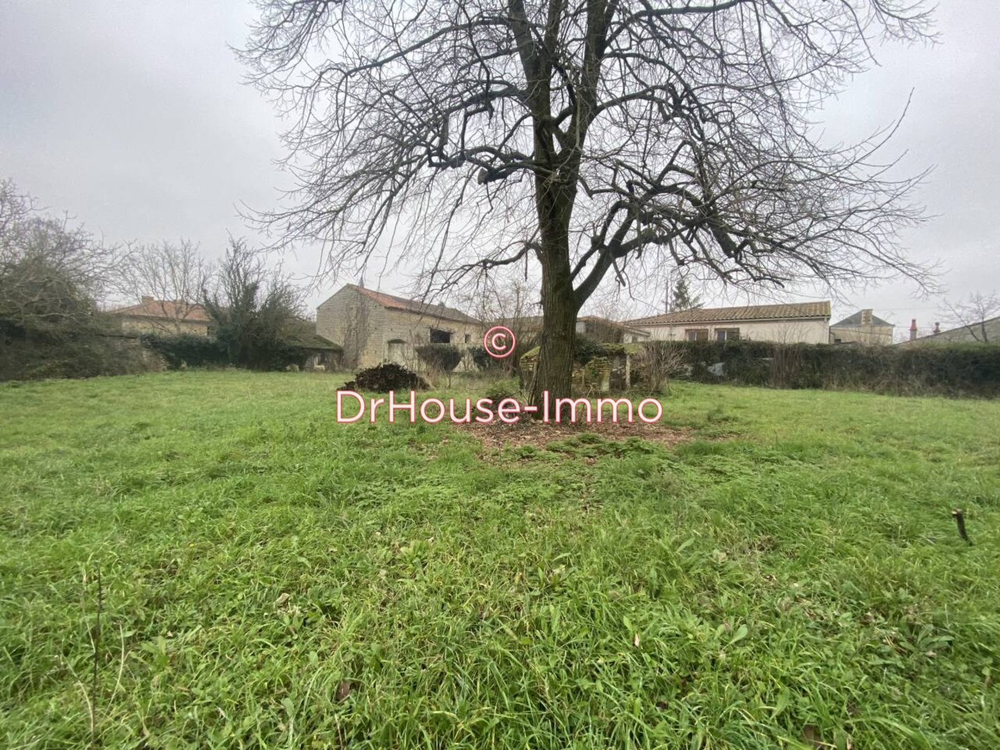 Terrain de 800 m² - Champigny en rochereau (86170)