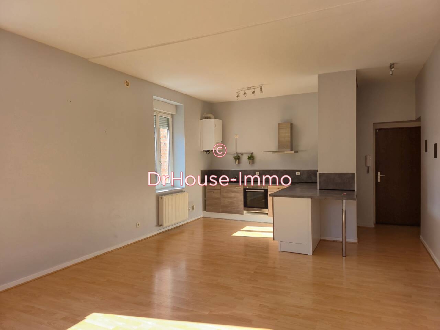 Appartement 3 pièces de 73 m² - Pont-Salomon (43330)