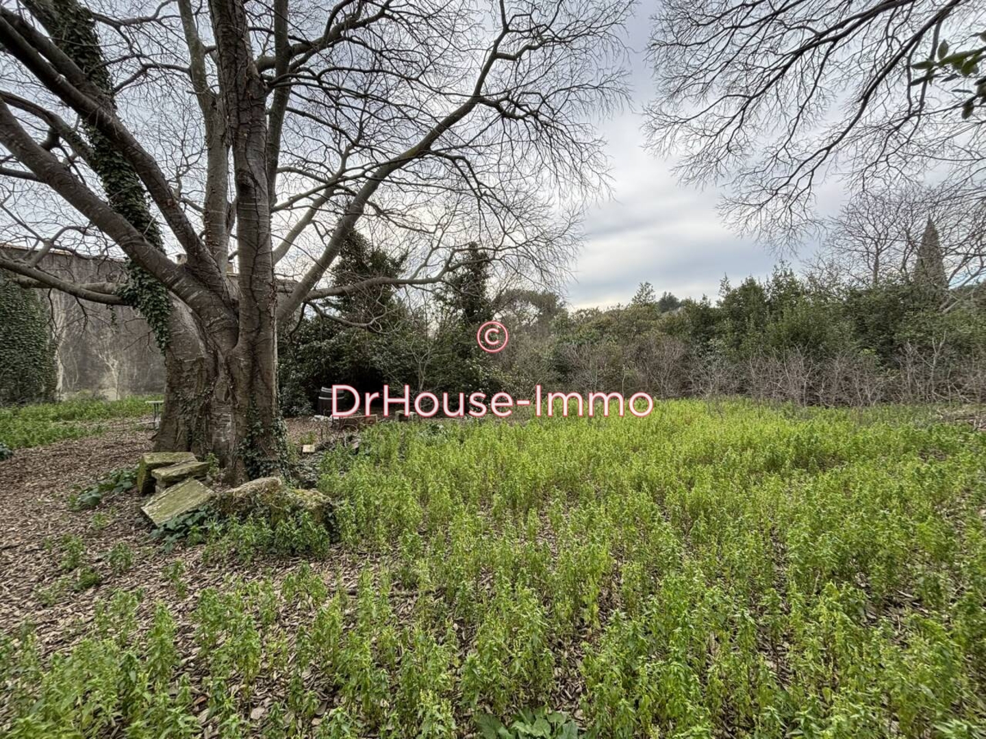 Maison 5 pièces de 320 m² - Saint-Georges-d'Orques (34680)