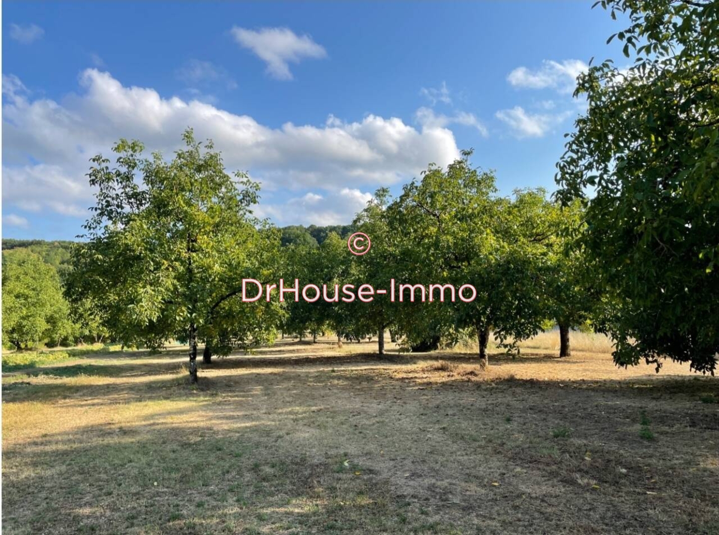 Terrain de 4 100 m² - Azerat (24210)
