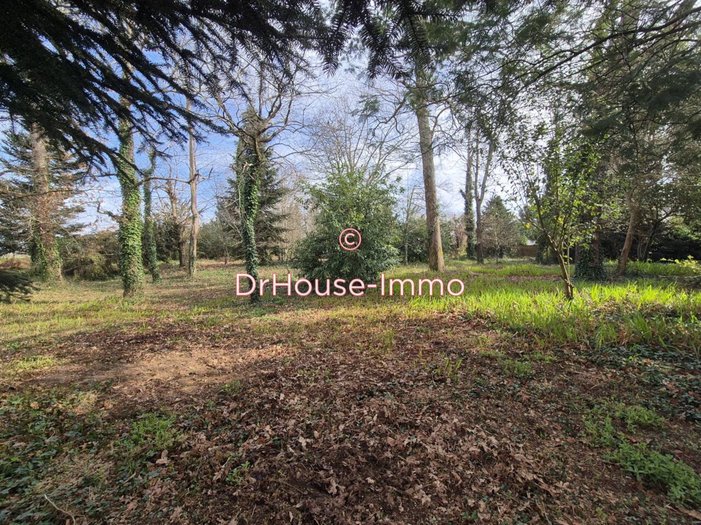 Terrain de 2 700 m² - Seyresse (40180)