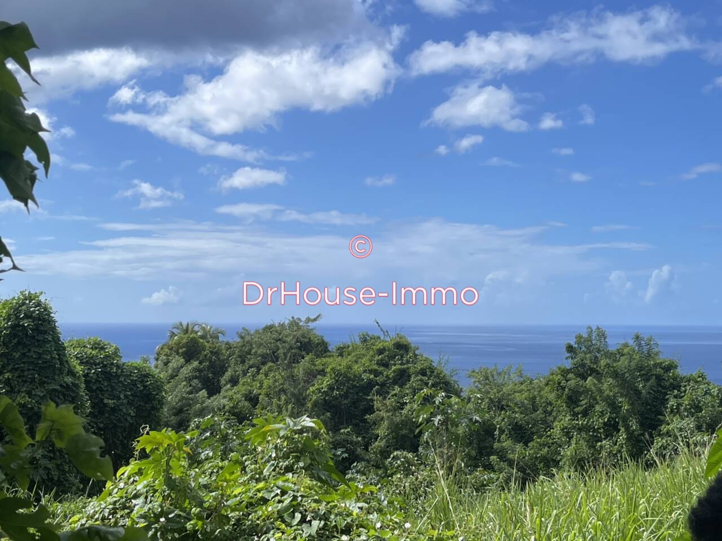 Terrain de 1 482 m² - Vieux-Habitants (97119)