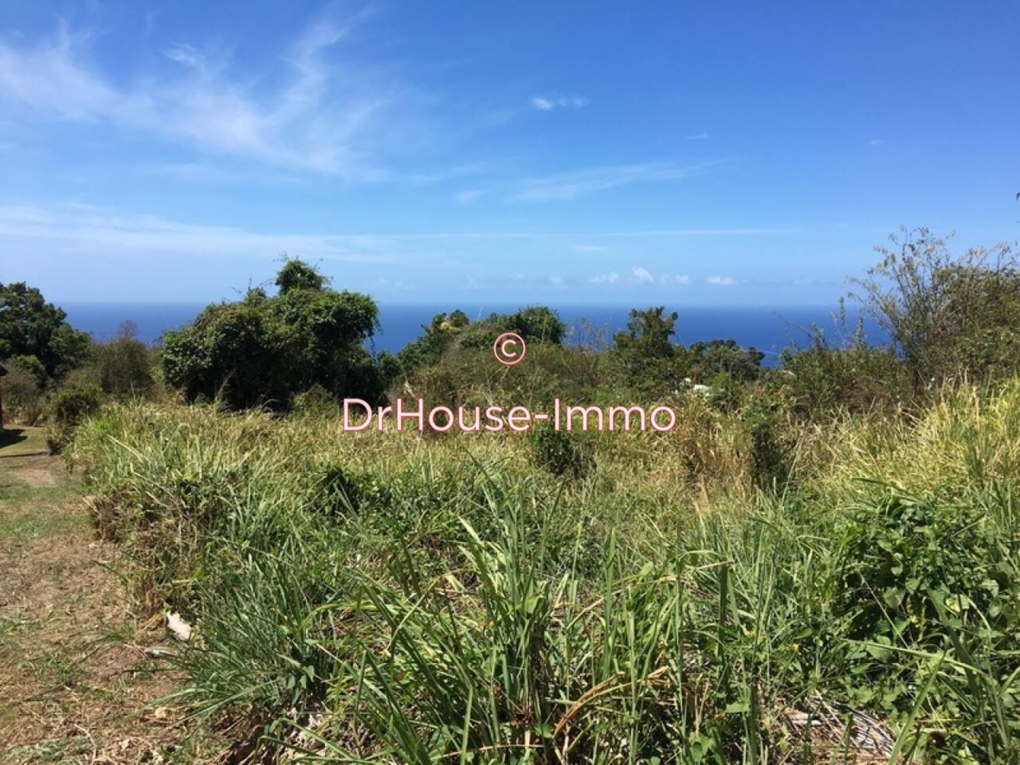 Terrain de 1 482 m² - Vieux-Habitants (97119)