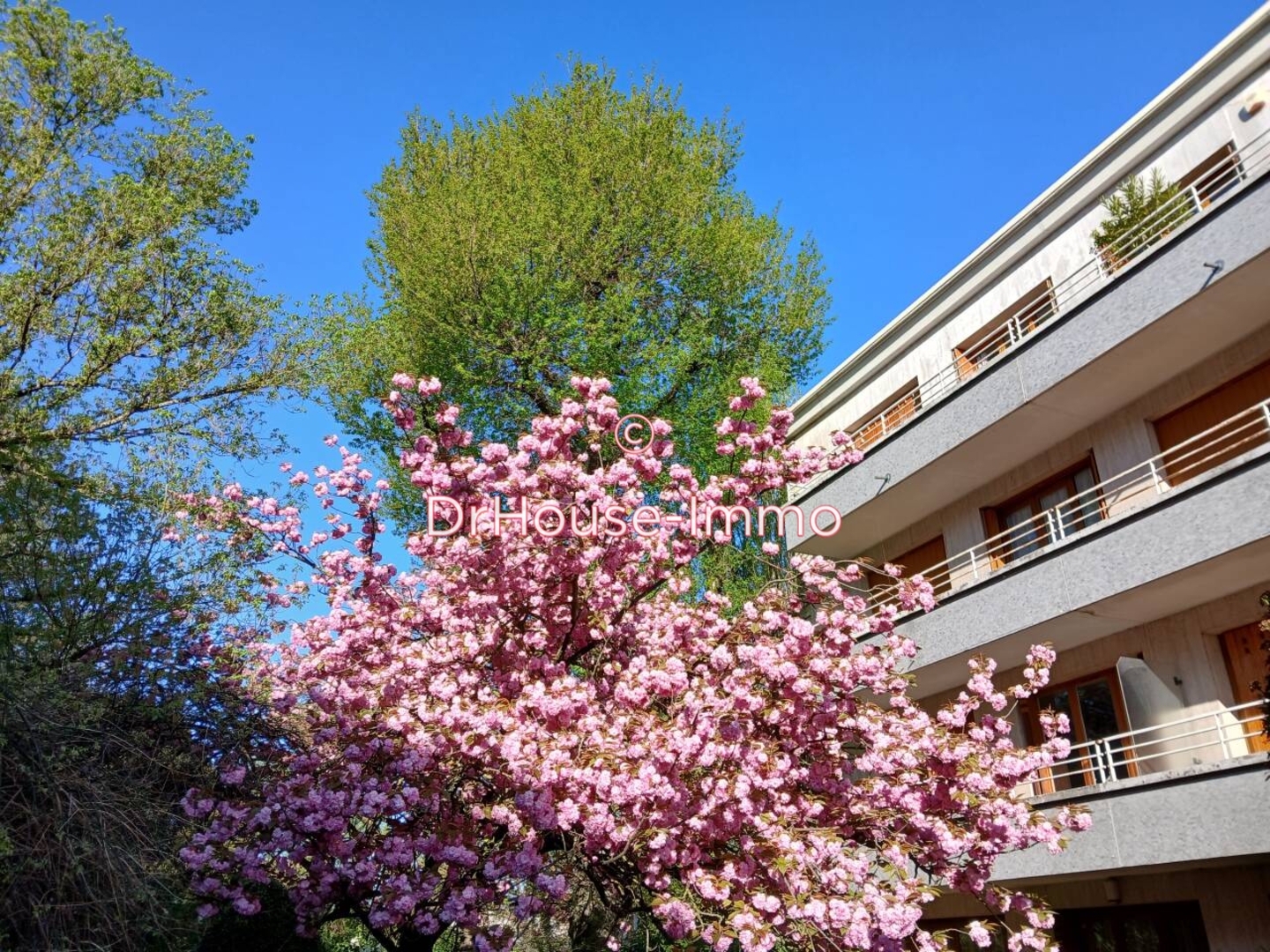 Appartement 5 pièces de 119 m² - Le Raincy (93340)