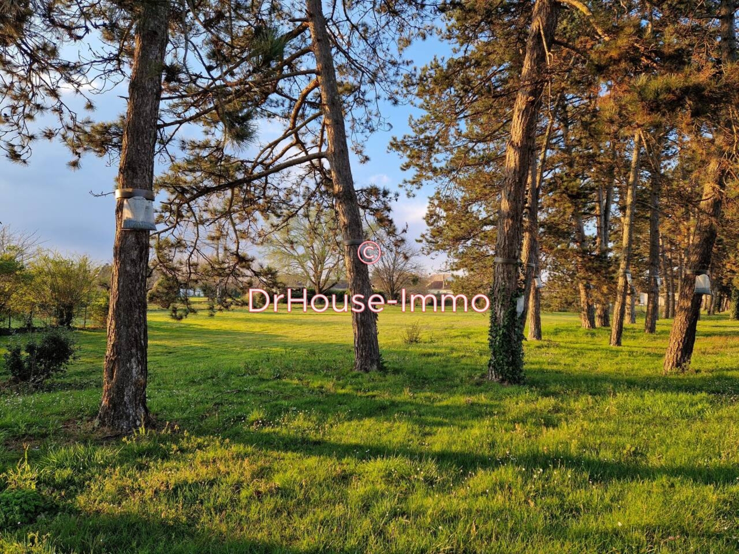 Terrain de 1 500 m² - La Force (24130)