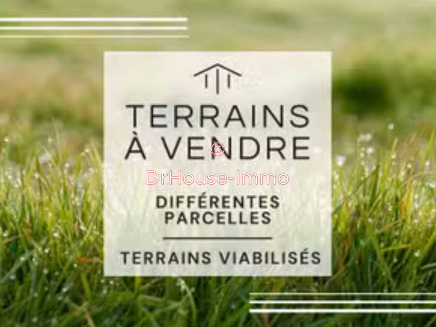Terrain de 394 m² - Nuits-Saint-Georges (21700)