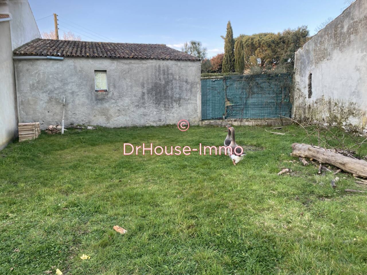 Maison 1 pièce de 54 m² - L'Aiguillon-sur-Vie (85220)