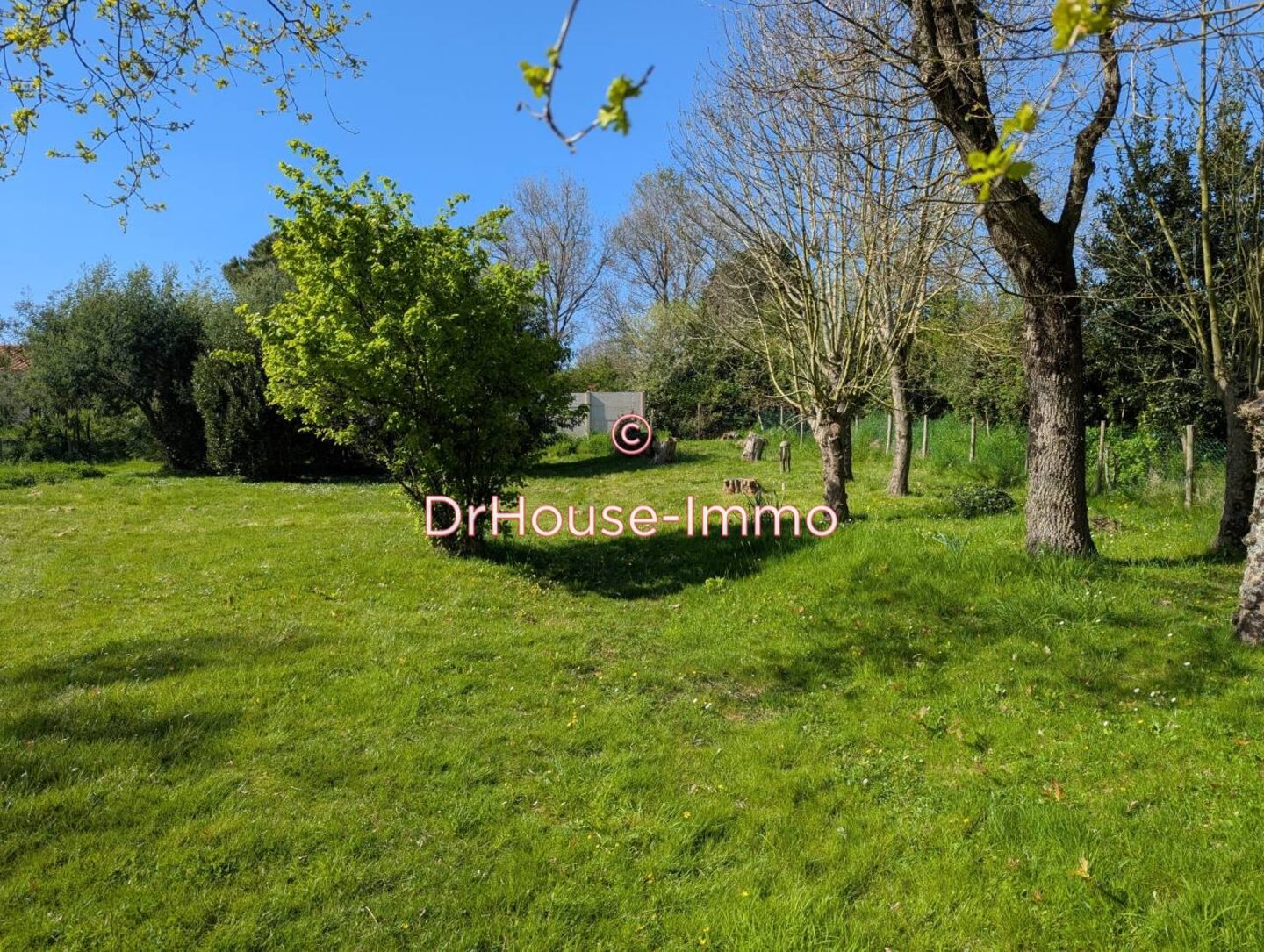 Terrain de 484 m² - L'Île-d'Olonne (85340)