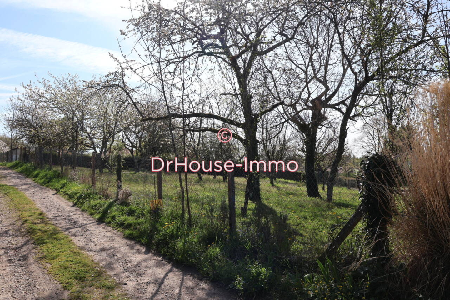 Terrain de 912 m² - Veyrac (87520)