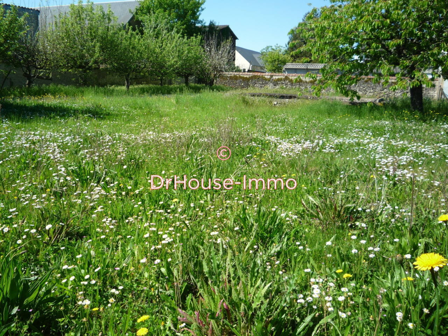 Maison 6 pièces de 87 m² - Savigné-sur-Lathan (37340)