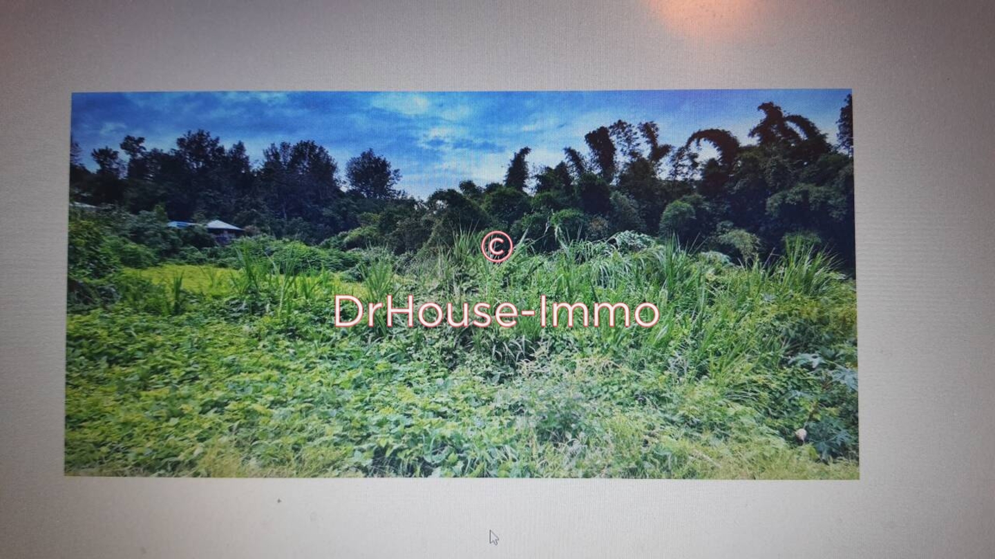 Terrain de 551 m² - Tampon (97430)