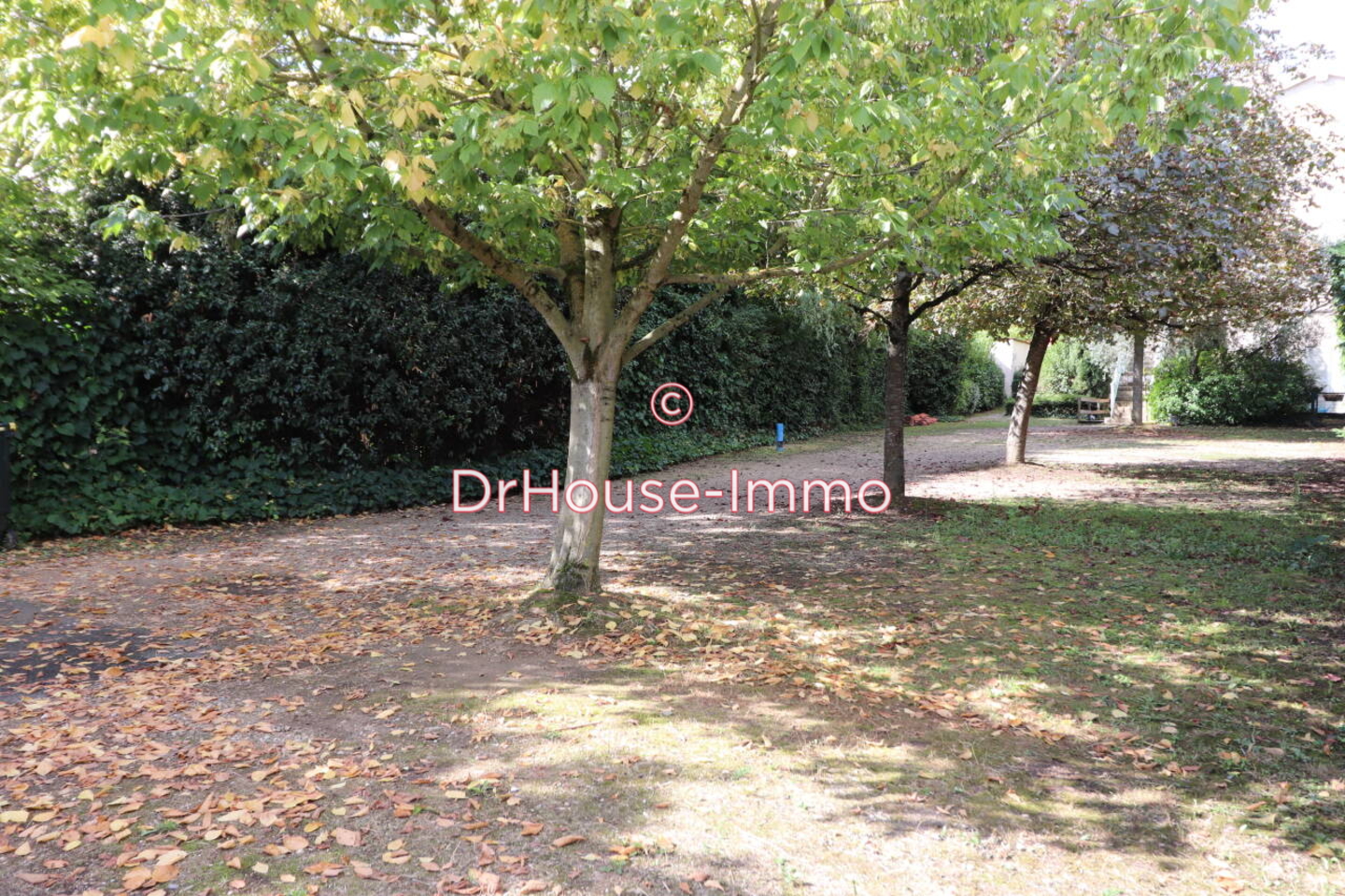 Appartement 4 pièces de 97 m² - Saint-Germain-au-Mont-d'Or (69650)