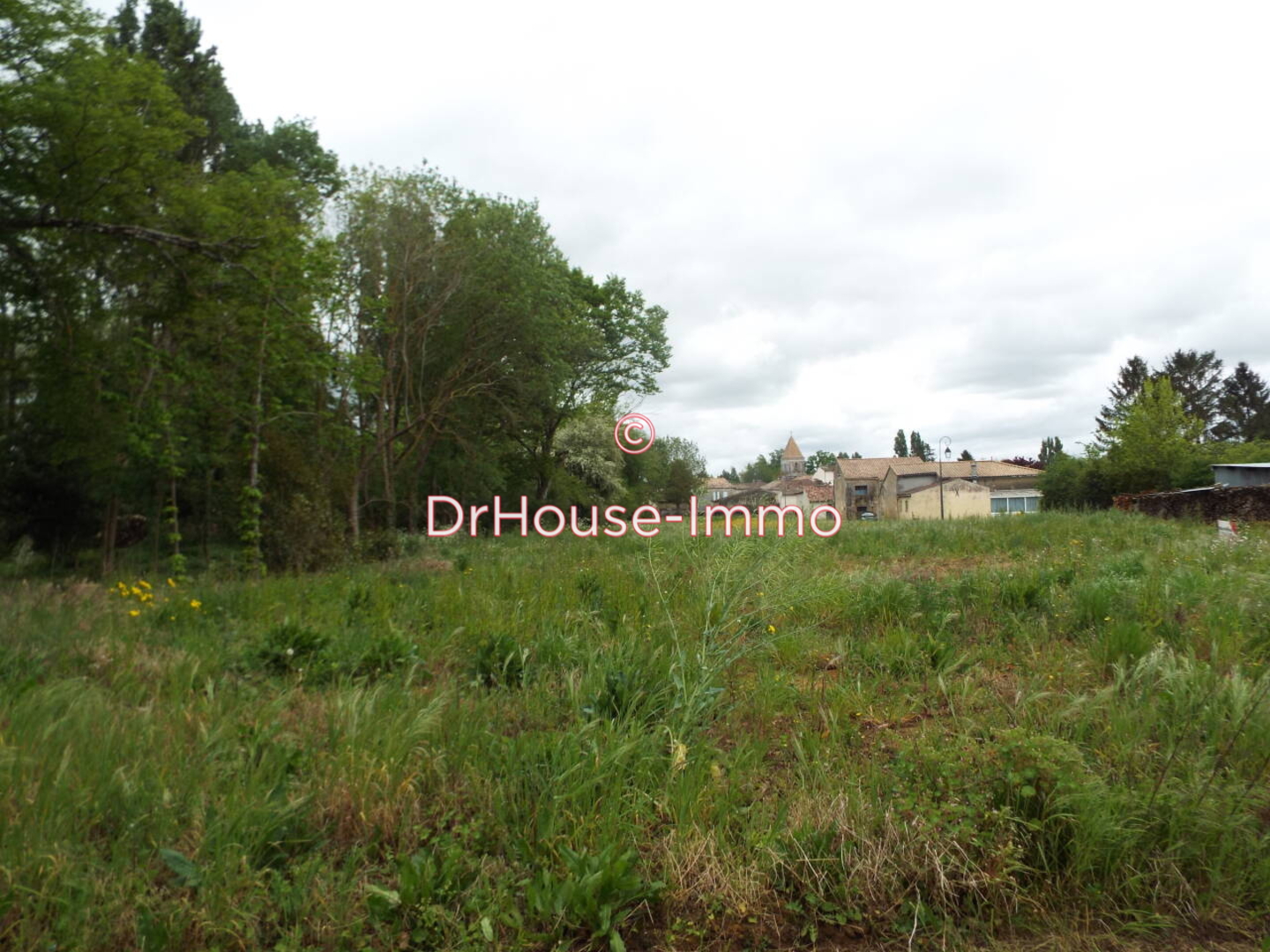 Terrain de 3 459 m² - Saint-Genis-de-Saintonge (17240)