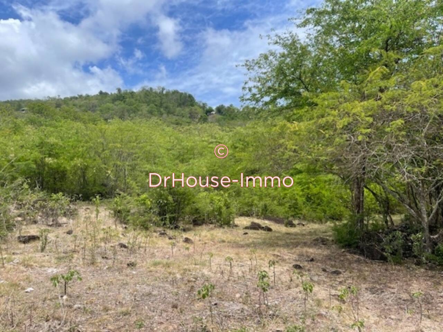 Terrain de 960 m² - Bouillante (97125)