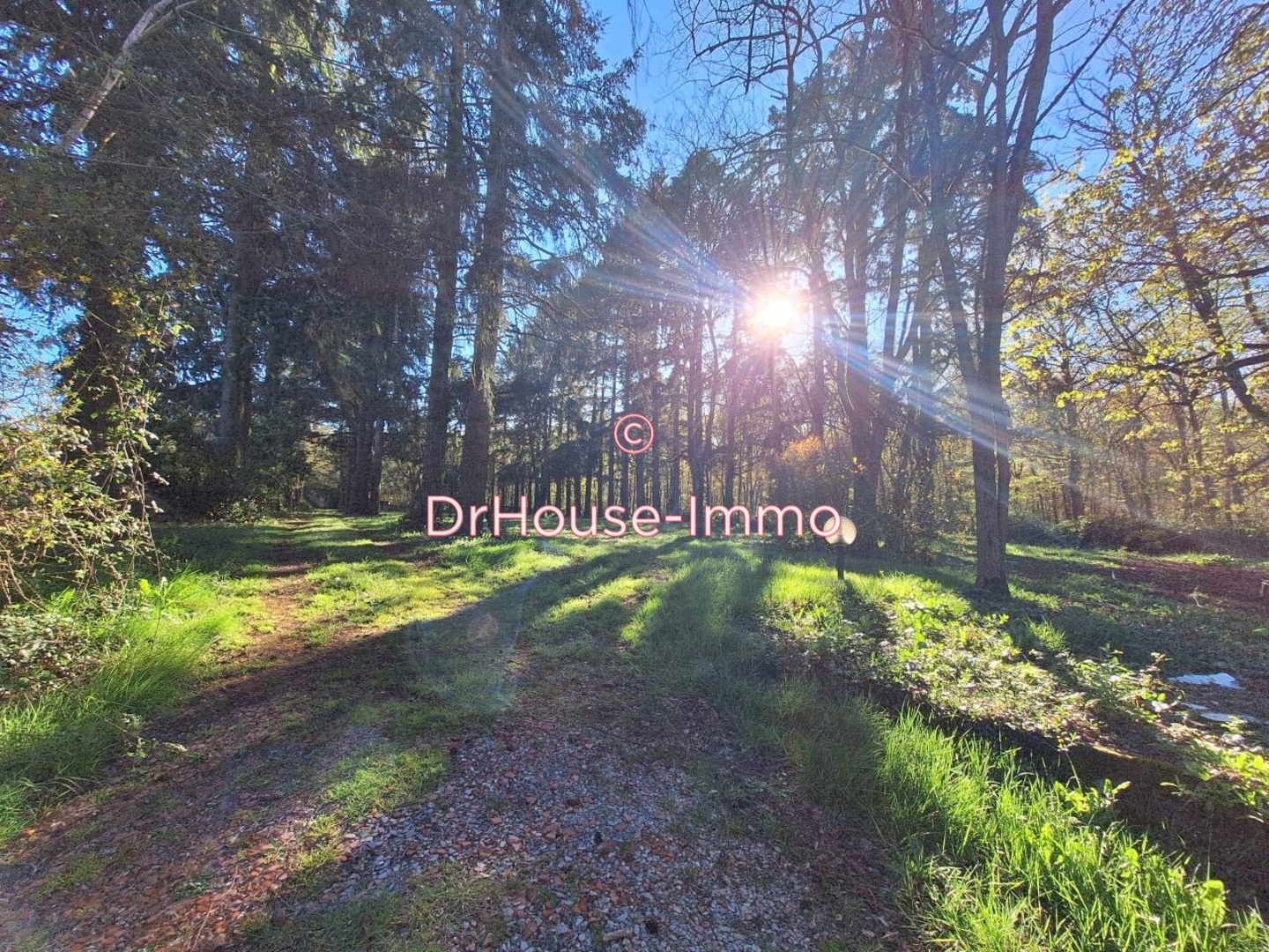 Maison 13 pièces de 372 m² - Mervent (85200)