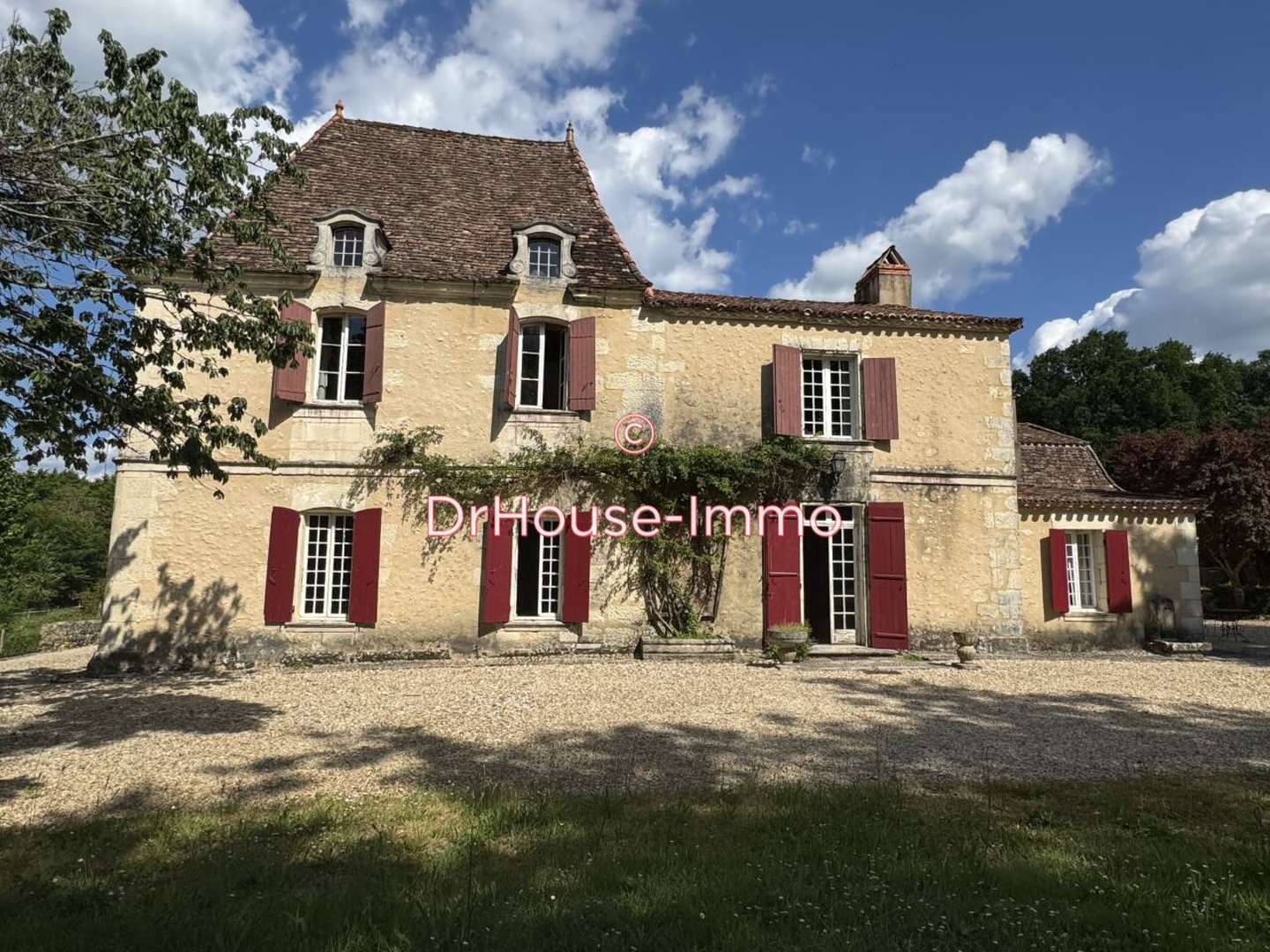 Hôtel particulier 13 pièces de 525 m² - Grignols (24110)