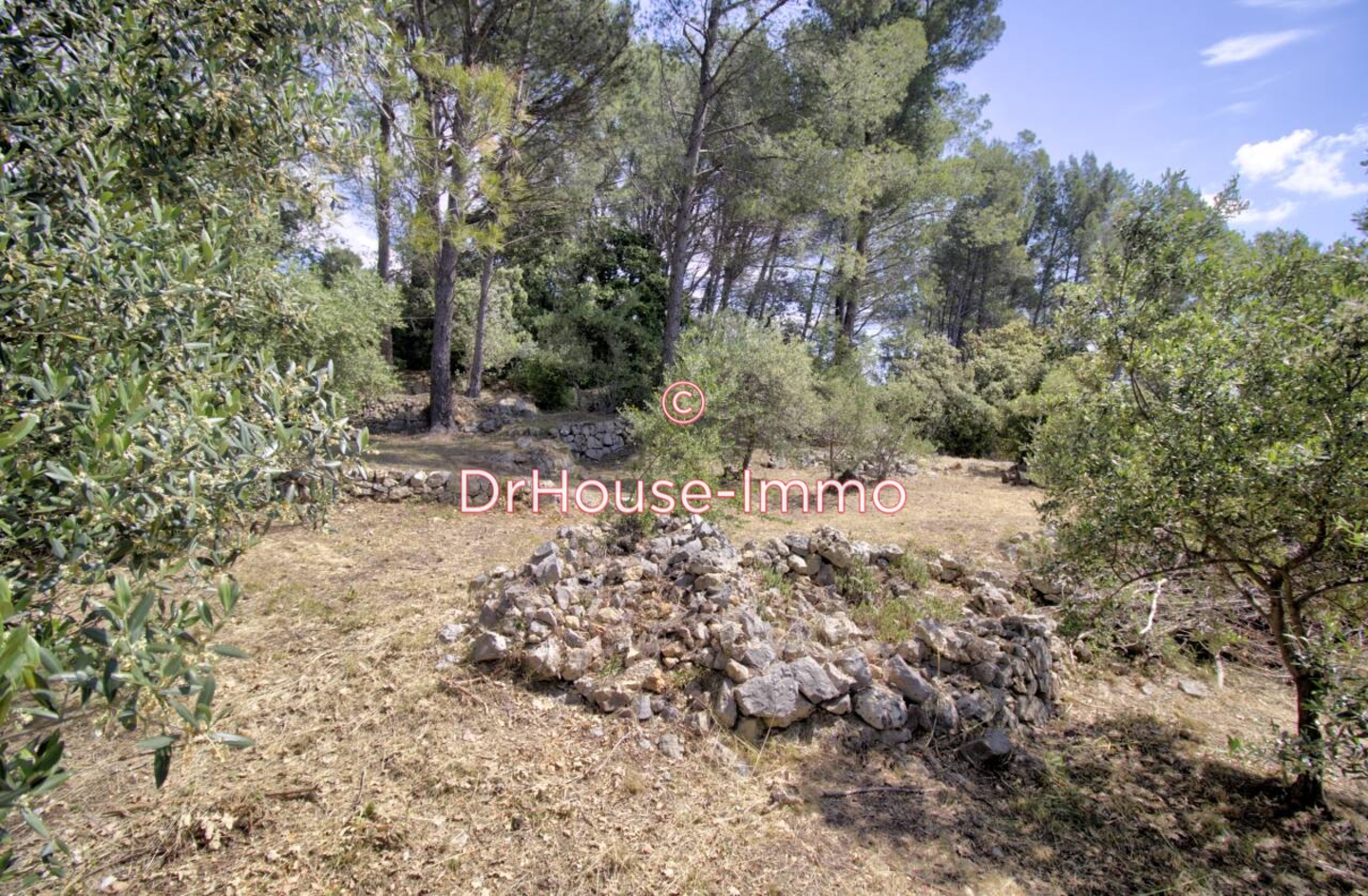 Terrain de 1 200 m² - Cuers (83390)
